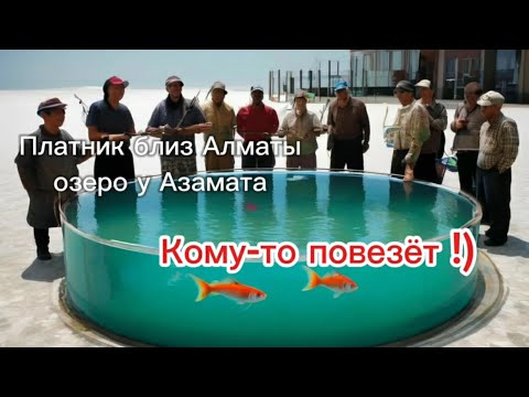 Видео: Рыбалка вблизи г. Алматы - Озеро у Азамата