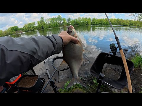 Видео: ВОДА УШЛА ИЗ-ПОД НОГ ОТ ЭТОГО ПАРОХОДА! РЫБАЛКА ФИДЕРОМ НА РЕКЕ!