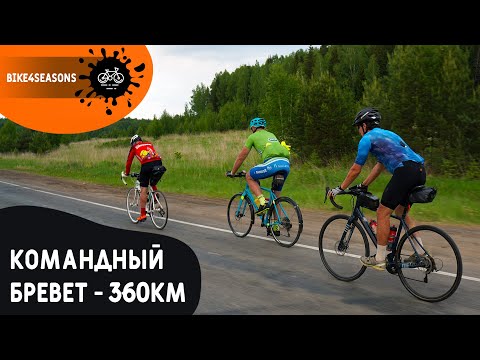 Видео: Fleche или Командный бревет | 360 км | Сезон 2021