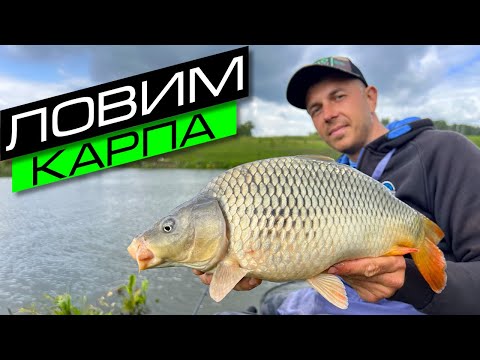 Видео: ЛОВЛЯ КАРПА НА ФИДЕР / РЫБАЛКА НА ПЛАТНИКЕ / FROS FISHING