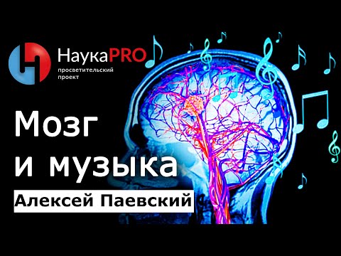 Видео: Мозг и музыка: как она влияет на нас | Последние данные – Алексей Паевский | Лекции по медицине