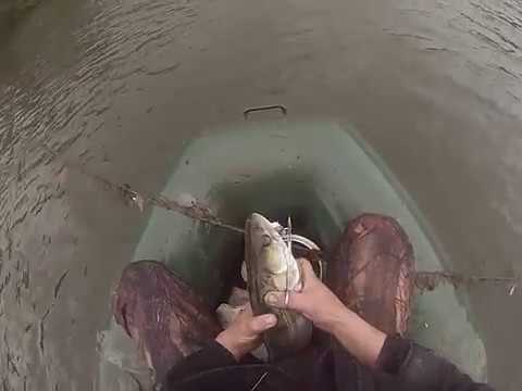 Видео: Перетяга,перемет на судака.Проверка после двух дней.