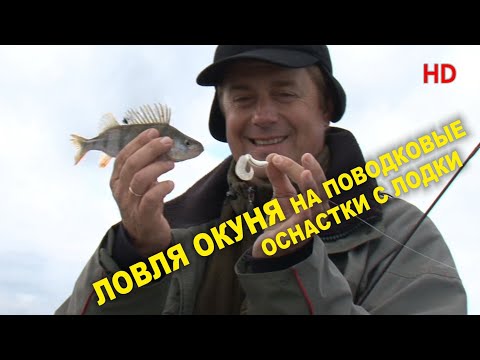 Видео: ЛОВЛЯ ОКУНЯ НА ПОВОДКОВЫЕ ОСНАСТКИ С ЛОДКИ. "АЗБУКА РЫБАЛКИ с братьями Щербаковыми HD"