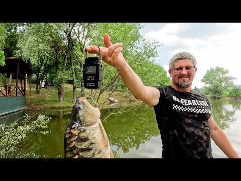 Видео: В поисках идеальной рыбалки: Это озеро заставит тебя забыть обо всем!🤩🎣 🏆
