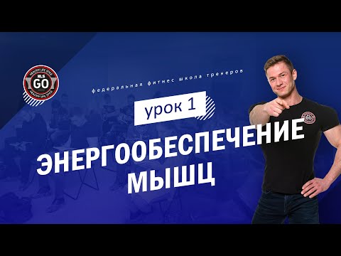 Видео: Энергообеспечение мышц - урок 1 (Типы мышц, АТФ и источники его ресинтеза)