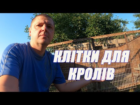 Видео: Клітки для кролів