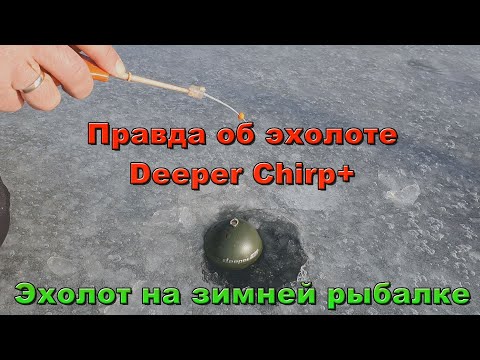 Видео: Зимняя рыбалка с эхолотом Deeper Chirp+. Анализ возможностей эхолота