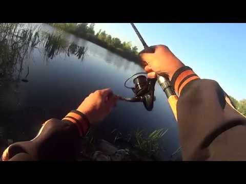 Видео: Ловля карася пикером в сентябре на сложном водоёме