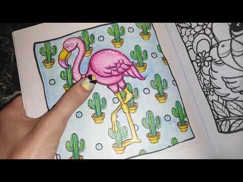 Видео: Хобби-ОБЗОР: раскраска Эти забавные фламинго/листаем вместе