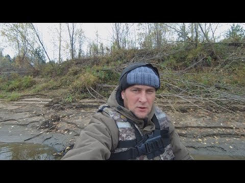 Видео: Трофеи. Чулым. Начало октября.