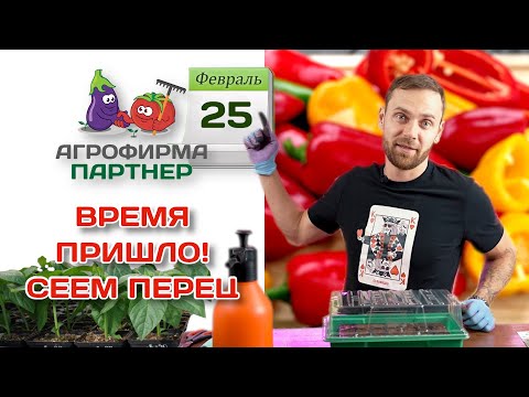 Видео: Время пришло! Сеем перец | #перец #огород #рассада