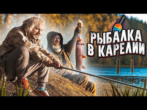 Видео: РЫБАЛКА — СТАРЫЙ И ДАНЯ КРАСТЕР ЛОВЯТ ХИЩНИКА НА ОЗЕРЕ ОХТАНЪЯРВИ