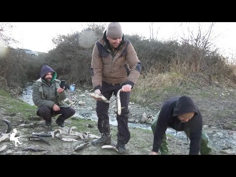Видео: 🎣 „Риболов на Бојник – Вештина и Стратегија“ #fishing  #пецање #риболов #prikazni #риболов