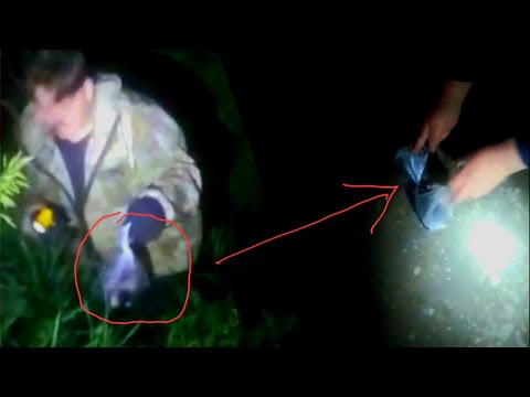 Видео: Где-то глубоко в овраге ночью нашли мешок с котятами| Они плакали и звали на помощь|Выживут? Kittens