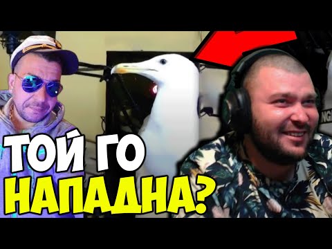 Видео: ГЛАРУС НАПАДНА СТРИЙМЪР?