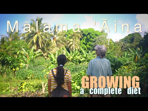 Видео: Невероятный тур по пермакультурному пищевому лесу — Большой остров, Гавайи