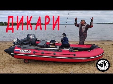 Видео: ДИКАРИ#1 Рузское водохранилище. Обзор водоема.