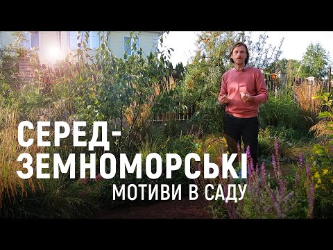 Видео: ЛАНДШАФТНИЙ ДИЗАЙН | ЕЛЕМЕНТИ СЕРЕДЗЕМНОМОРСЬКОГО САДУ