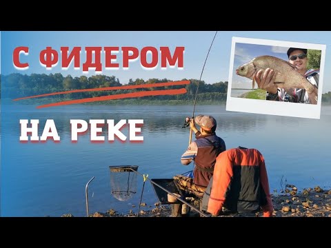 Видео: Рыбалка на реке. Лещ и язь на сало. Фидер 2023. Петля Орлова