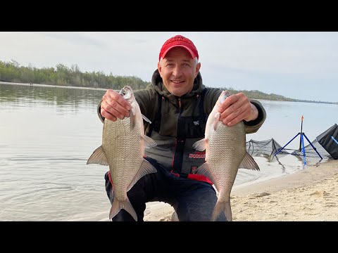 Видео: Весенняя рыбалка на фидер на реке Дон