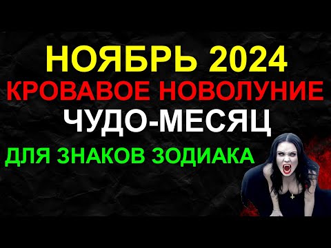 Видео: 🔴 ПРОГНОЗ НА НОЯБРЬ 2024. НОВОЛУНИЕ В СКОРПИОНЕ. ЧУДО-МЕСЯЦ СИЛЫ. ДЛЯ ВСЕХ ЗНАКОВ ЗОДИАКА 👍🔥