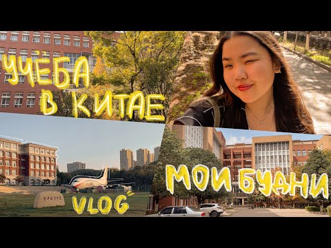 Видео: учёба в китае | будни студента, жизнь одной, как сходила к стоматологу