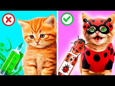 Видео: Леди Баг против Супер-кота! Леди Баг спасла беременную кошку!