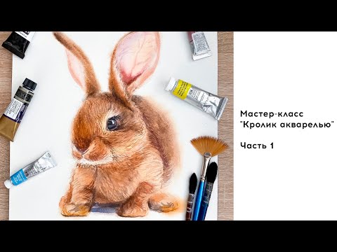 Видео: Мастер-класс "Кролик акварелью" Часть 1. Артшкола
