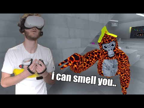 Видео: Экстремальное соревнование по пряткам Gorilla Tag VR для 30 игроков (Oculus Quest 2)