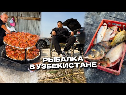 Видео: Рыбалка в Узбекистане! Кому-то рыба а кому-то курица @foodkeem