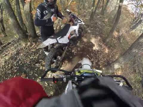 Видео: Тигровая Падь 26.10.25