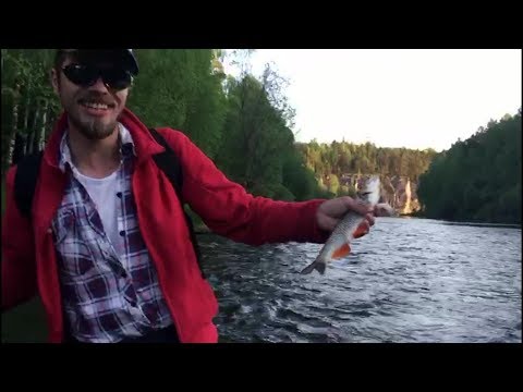 Видео: Чусовая: Спортивно-интересный голавль