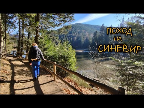 Видео: Закарпатье. Поход на озеро Синевир. Одни в лесу. Синевирская поляна. Долина волков и медведей.