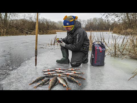 Видео: ВІДКРИТТЯ 🐟🐟🐟 Зимова риболовля по першому льоду. Затоки річки Псел