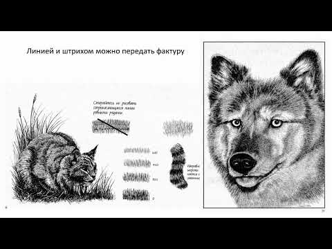Видео: Урок графики: теория, примеры, задание