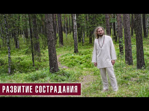 Видео: Развитие сострадания. Бодхичитта.