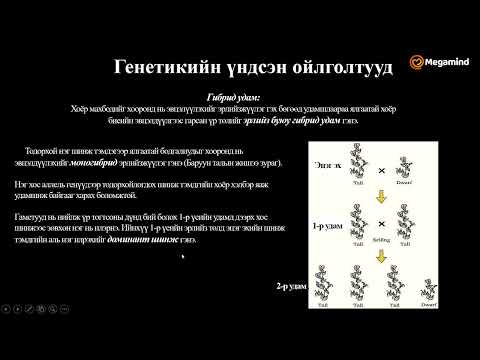 Видео: Биологи №42 Генетик шинжилгээ II