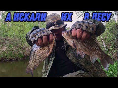Видео: НАШЛИ КАРАСЯ УЖЕ В РЕЧКЕ ! Весенняя рыбалка 23 мая 2024г.