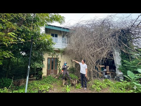 Видео: Спиливаем самое страшное дерево с привидениями, которое мы когда-либо видели | Наблюдать за спиливан
