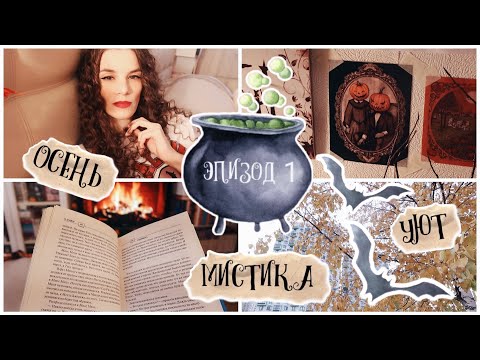 Видео: КНИЖНЫЕ ПОКУПКИ и АТМОСФЕРНЫЕ ЧТЕНИЯ || БИНГО-МАРАФОН ТРЯСУЩИХСЯ СТРАНИЧЕК эпизод 1