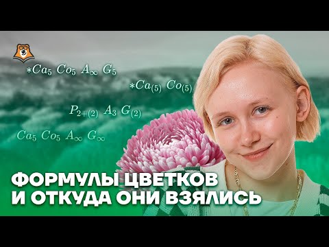 Видео: Как запомнить формулы цветков? | Биология ОГЭ 2023 | Умскул