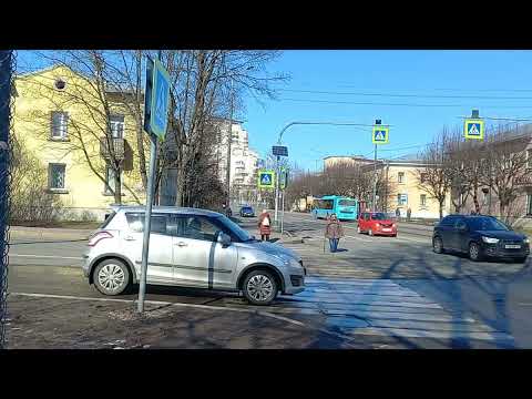 Видео: Питер Сестрорецк Борисова