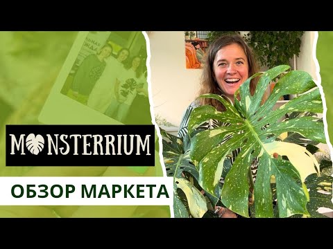 Видео: Монстерриум обзор маркета РАСТЕНИЙ в Москве