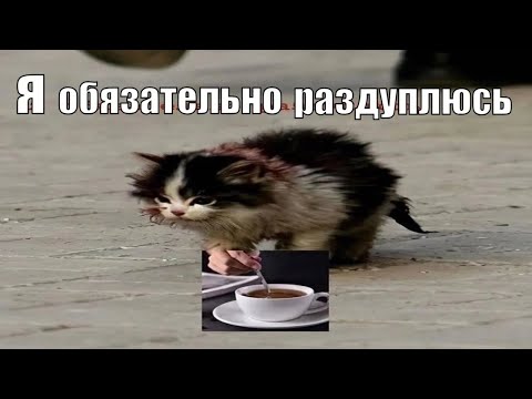 Видео: Ищу С Кем Поиграть, Пишите В ТГ: keeper_dota2 🥺 #shorts #шортс #дота2