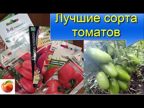 Видео: Помидоры Лучшие сорта томатов Семена и  результат, что выросло The best tomatoes