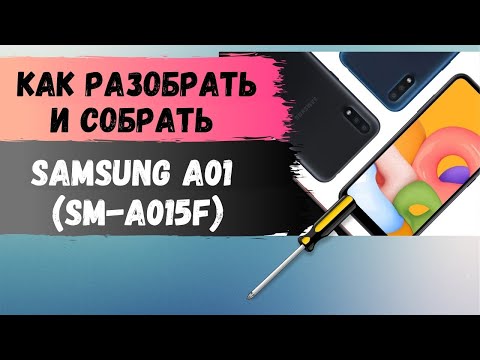 Видео: Как разобрать Samsung A01 (SM-A015F). Disassemble Samsung A01