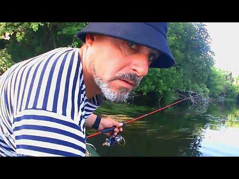 Видео: Сплав по Северскому Донцу.