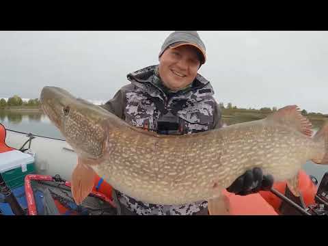 Видео: Игорь Цыба - Дымок (DANTAS_253 x ty0 РЫБАЛКА РЕМИКС) (cover)