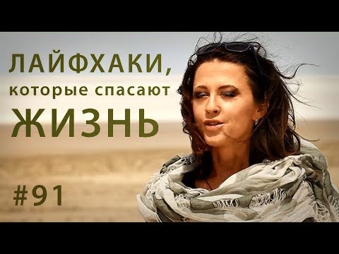 Видео: Как выжить в пустыне: горячие лайфхаки // Всё как у зверей #91