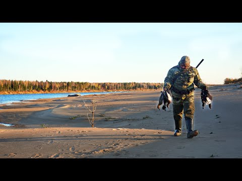 Видео: СОТНИ УТОК С СЕВЕРА! ЛУЧШАЯ ОХОТА ПЕРЕД ЗИМОЙ. 2 ДНЯ В ПАЛАТКЕ НА ПЛЯЖЕ. ШУЛЮМ ИЗ УТКИ.